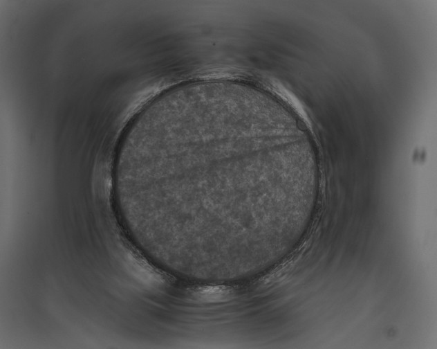 X0000096980059200803071039