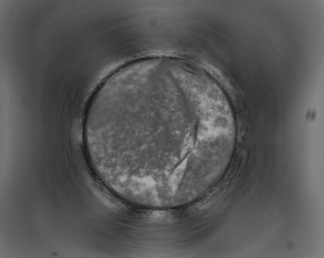 X0000096980060200803071039