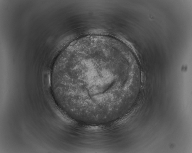 X0000096980061200803071039