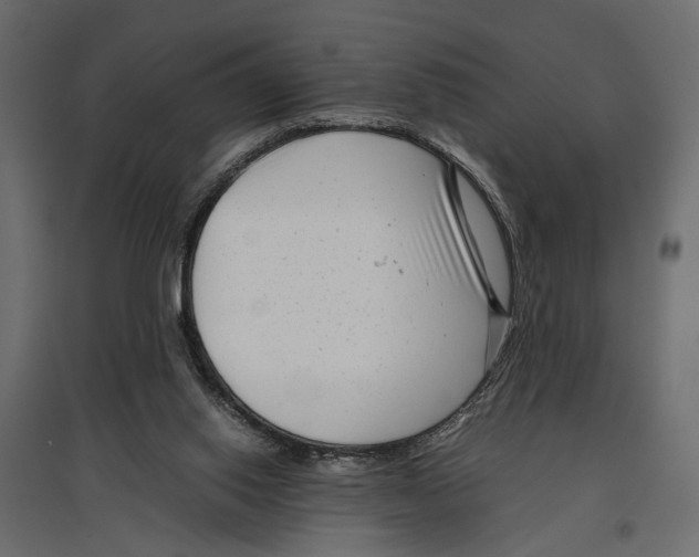 X0000096980062200803071039