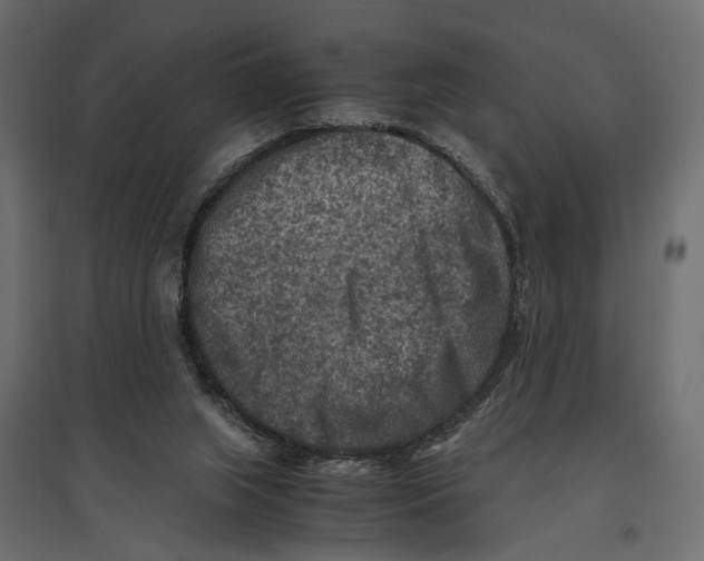 X0000096980063200803071039