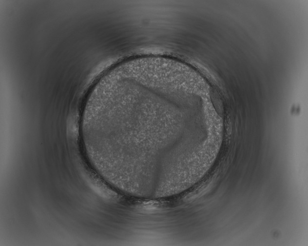 X0000096980064200803071039