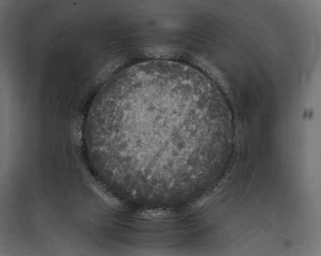 X0000096980065200803071039