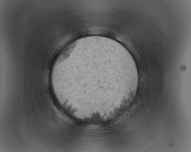 X0000096980066200803071039
