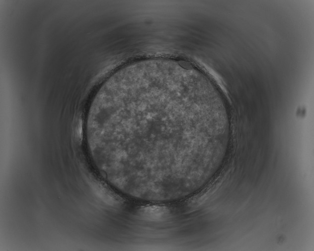 X0000096980067200803071039