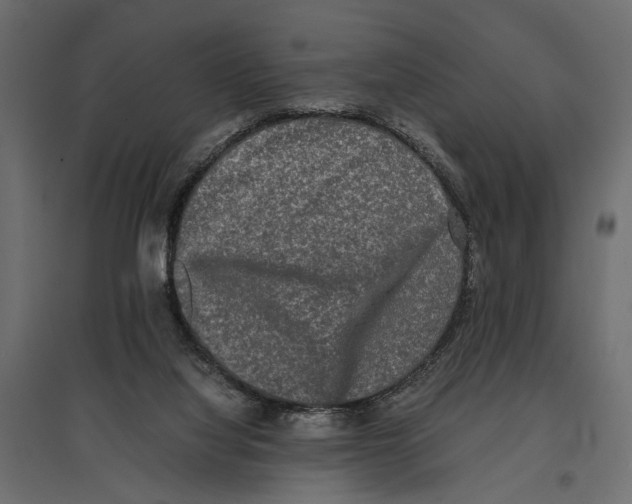 X0000096980068200803071039