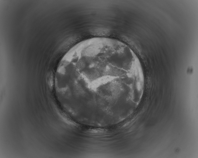 X0000096980069200803071039