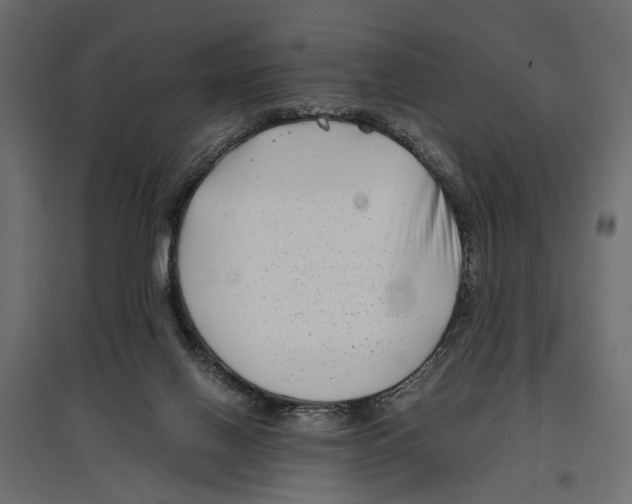 X0000096980070200803071039