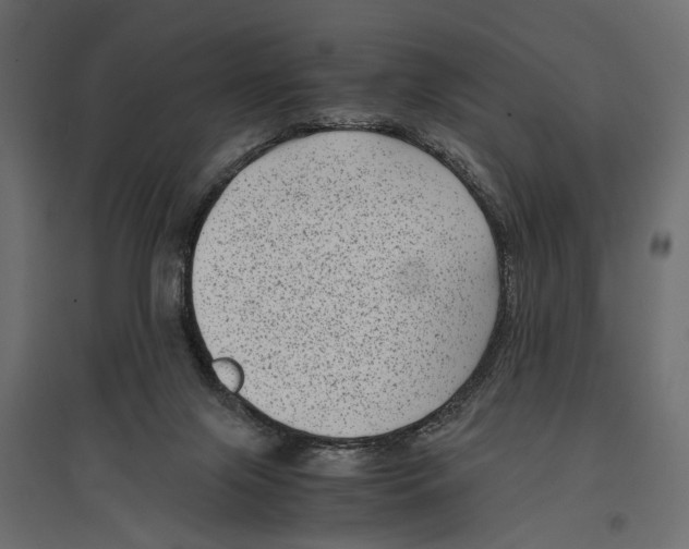 X0000096980071200803071039