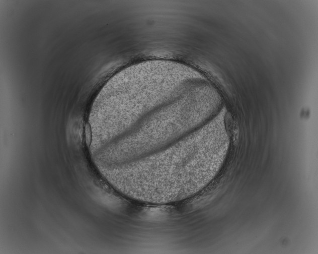 X0000096980072200803071039