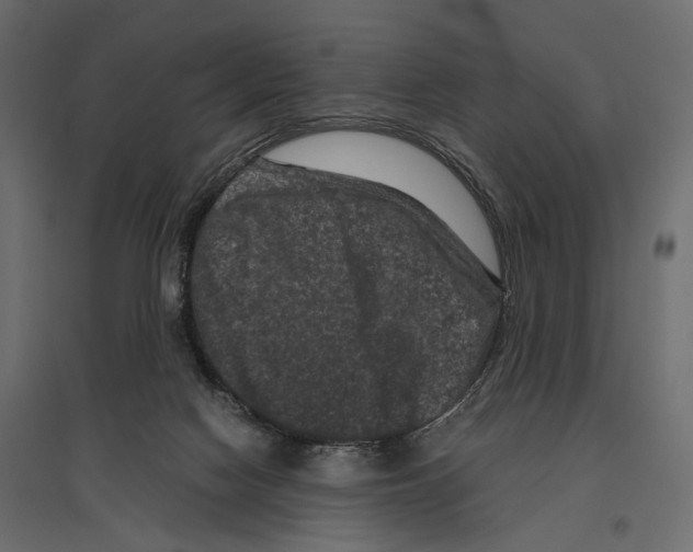 X0000096980074200803071039