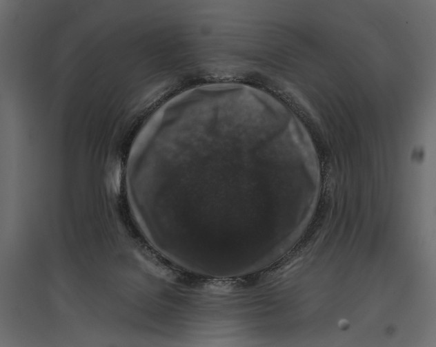 X0000096980076200803071039