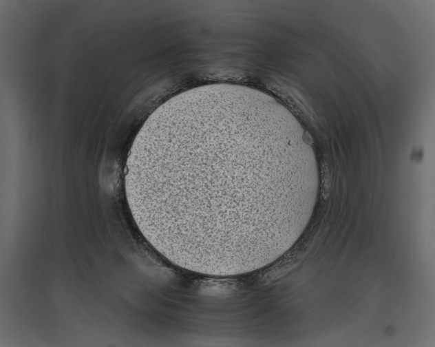 X0000096980077200803071039