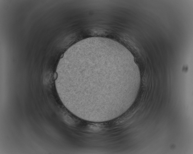 X0000096980079200803071039