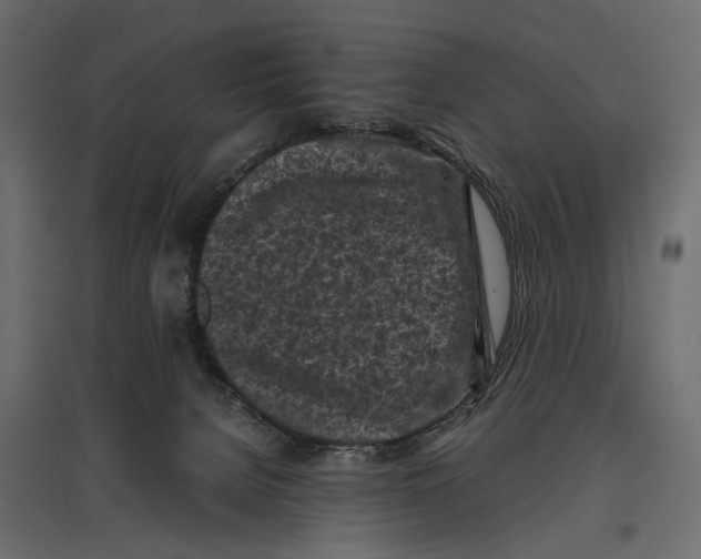 X0000096980080200803071039