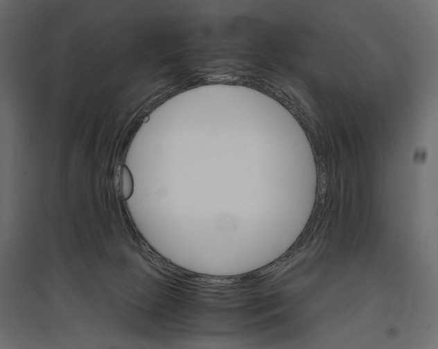 X0000096980081200803071039