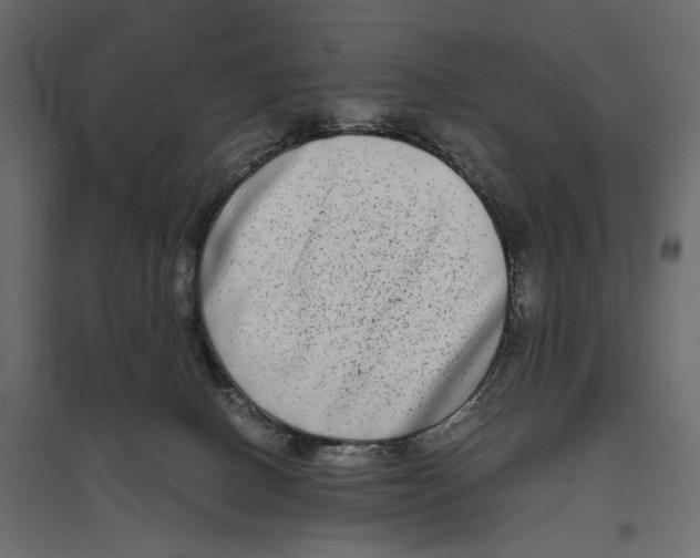 X0000096980082200803071039