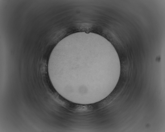 X0000096980083200803071039