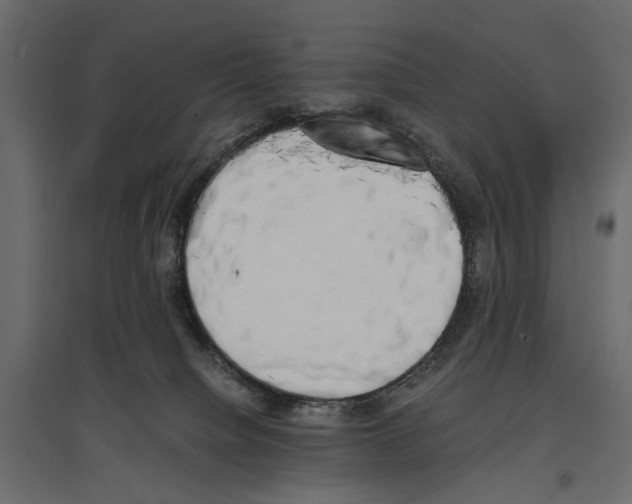 X0000096980084200803071039