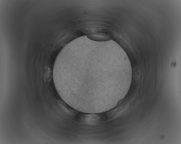 X0000096980087200803071040