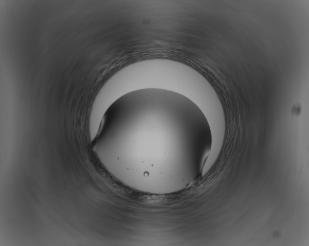 X0000096980088200803071040