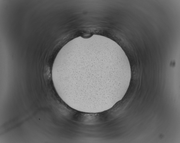 X0000096980089200803071040