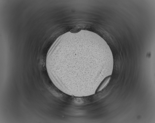 X0000096980091200803071040