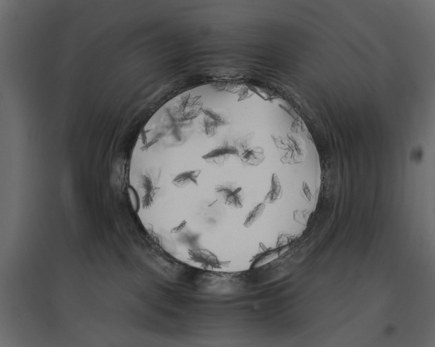 X0000096980093200803071040