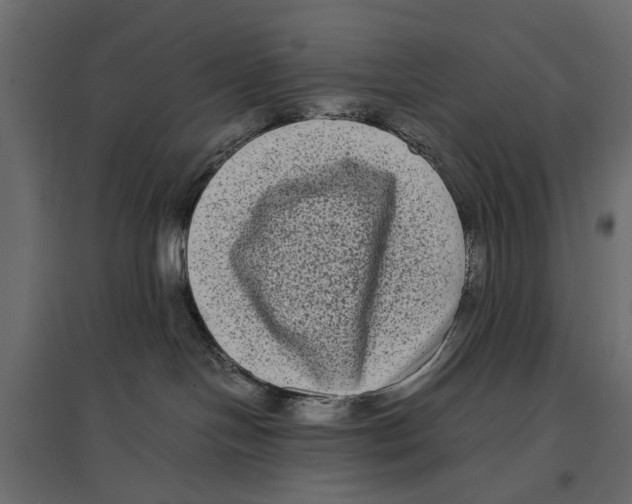 X0000096980094200803071040