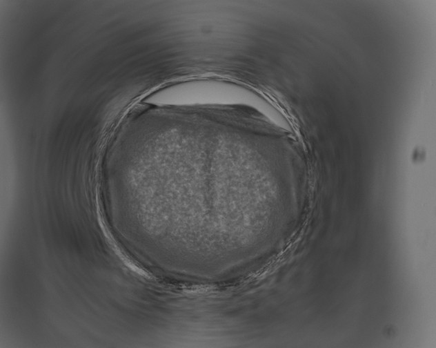 X0000096980097200803071039