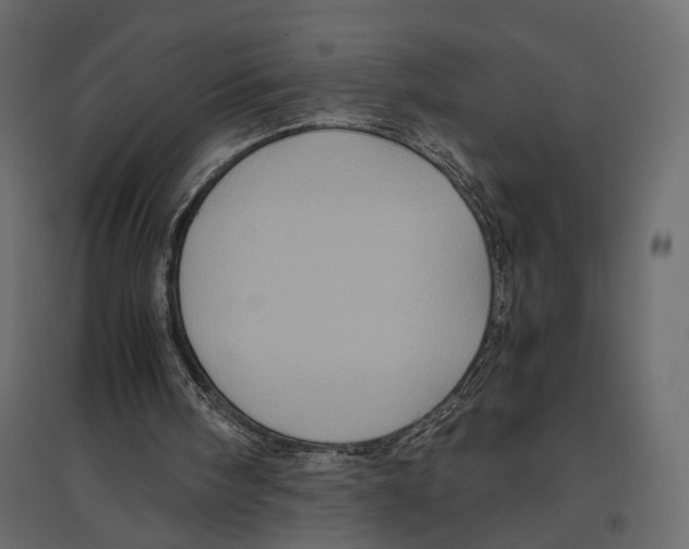 X0000096980098200803071039