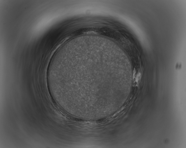 X0000096980099200803071039