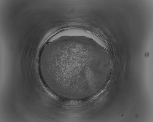 X0000096980101200803071039