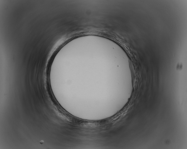 X0000096980102200803071039