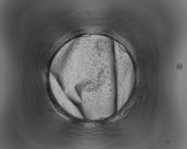 X0000096980105200803071039