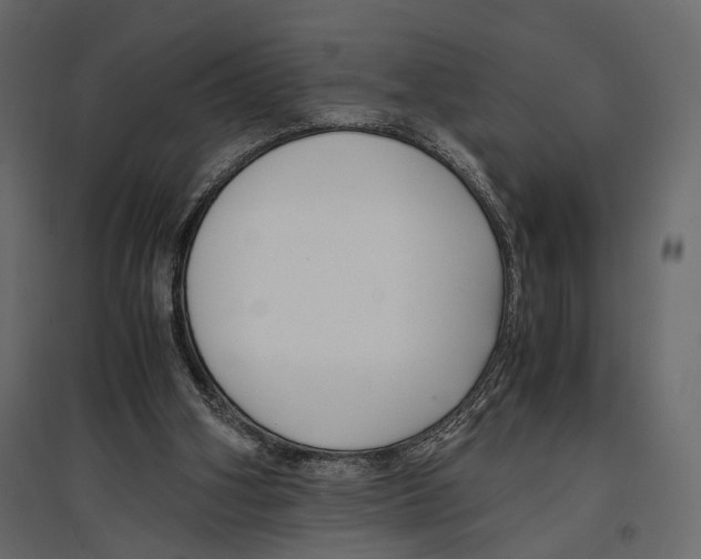 X0000096980106200803071039