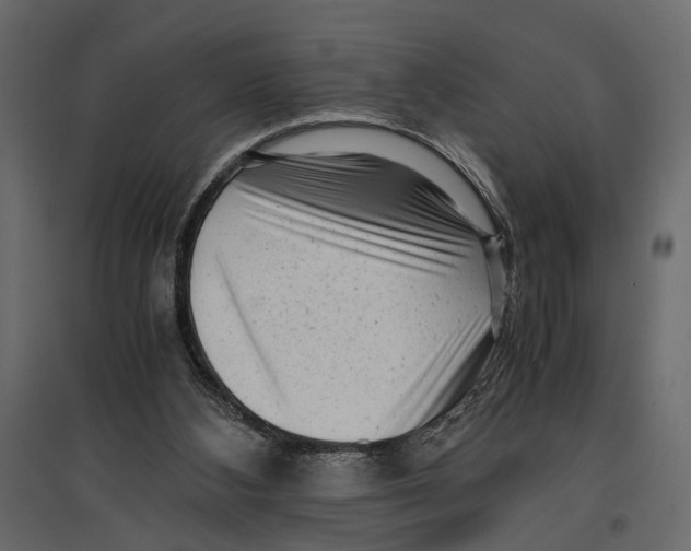 X0000096980108200803071039