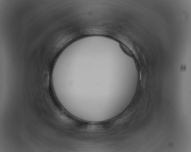 X0000096980109200803071039