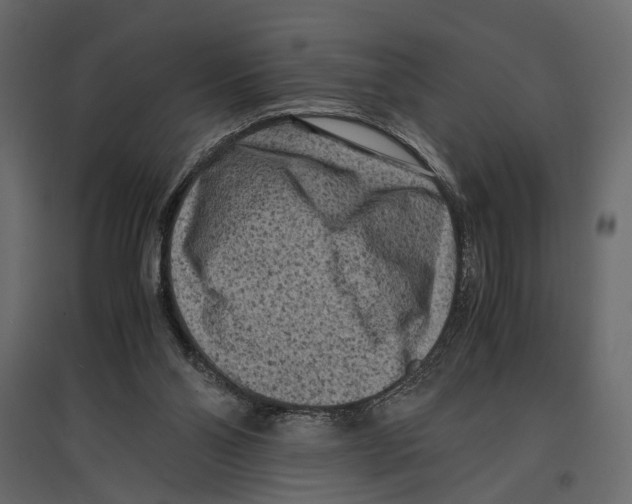 X0000096980110200803071039