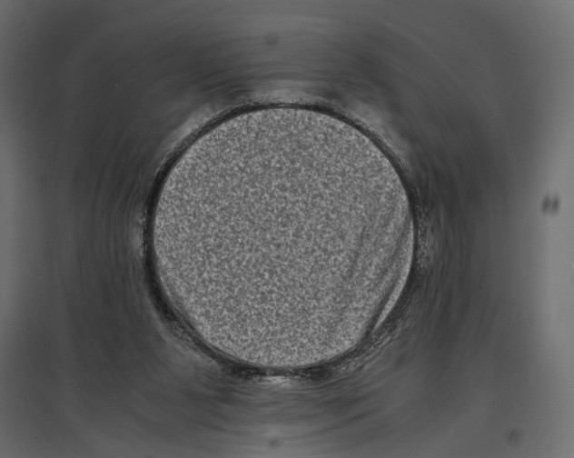 X0000096980111200803071039