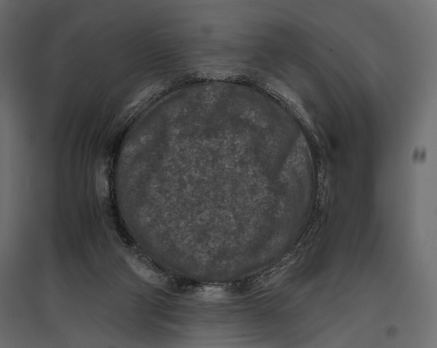 X0000096980114200803071039