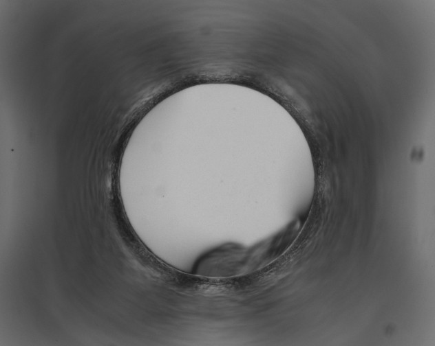 X0000096980115200803071039