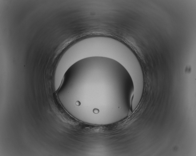 X0000096980116200803071039