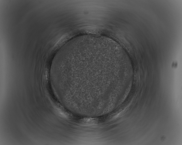 X0000096980117200803071039