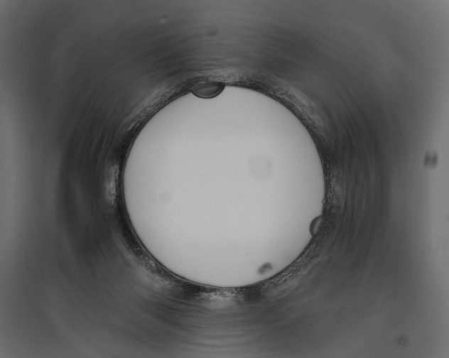 X0000096980118200803071039