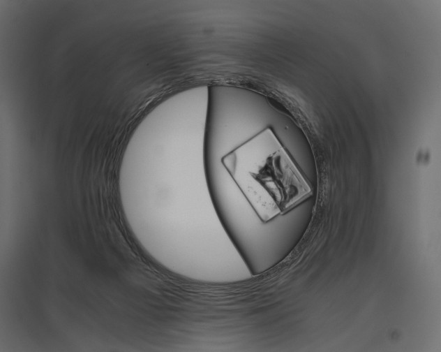 X0000096980121200803071039