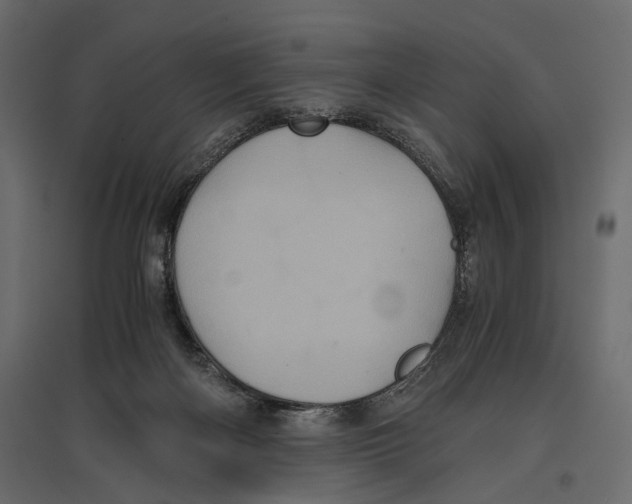 X0000096980122200803071039