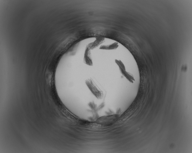 X0000096980123200803071039