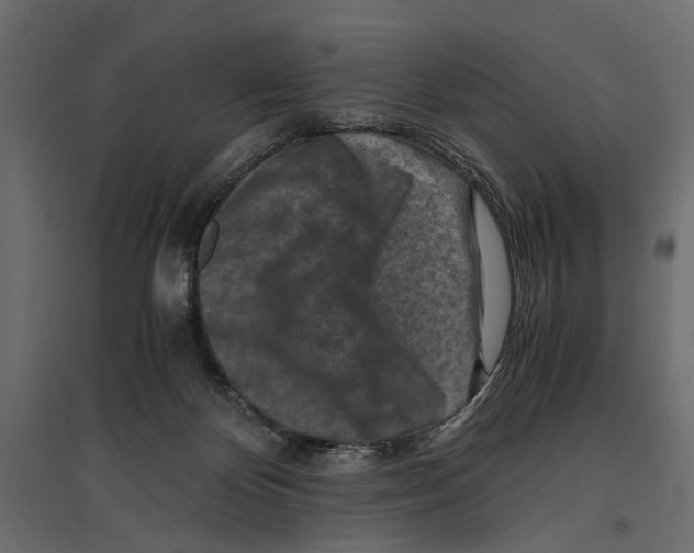 X0000096980124200803071039