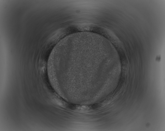 X0000096980125200803071039